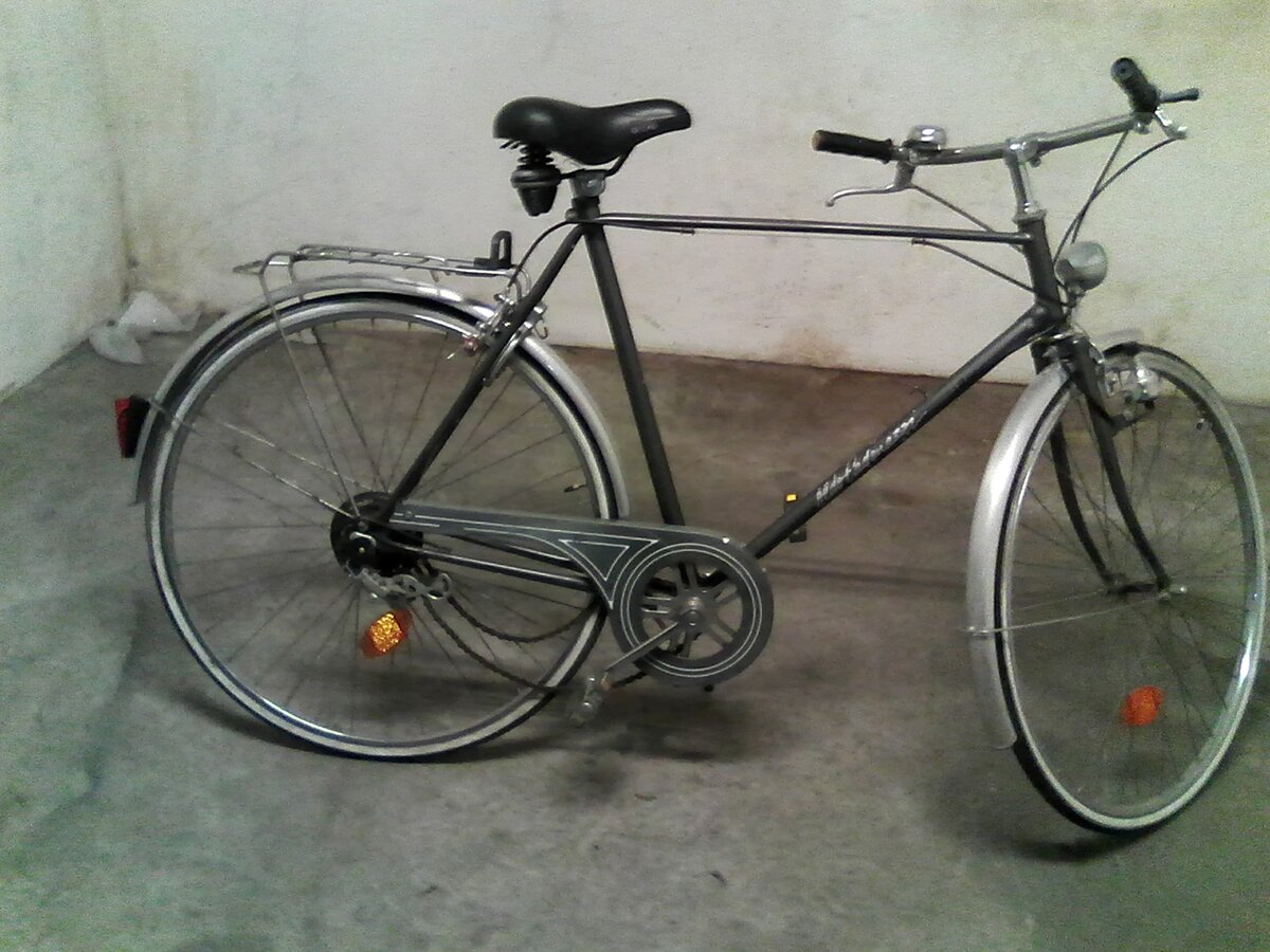Bicicleta grafite com cárter de corrente decorado